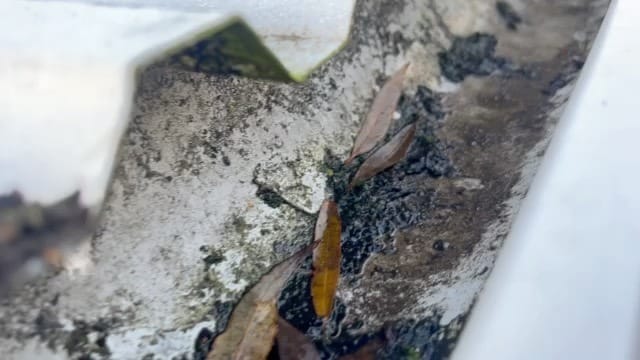 Hvordan vælger man den rette tagrenderens udbyder?