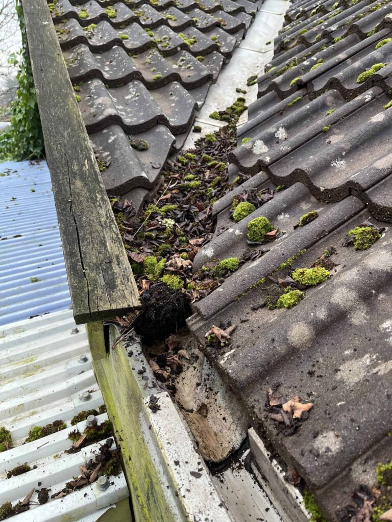 Begroet tagrende på villa med tegltag før rensning