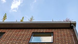 Skjulte tagrender: Sådan forbedrer de husets æstetik og funktionalitet