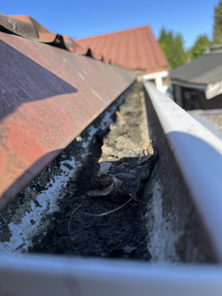 Hvor kan jeg bestille tagrenderens hurtigt?